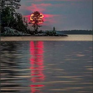 Meet your Posher, Joann